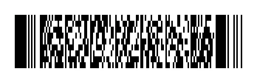 PDF 417 example barcode